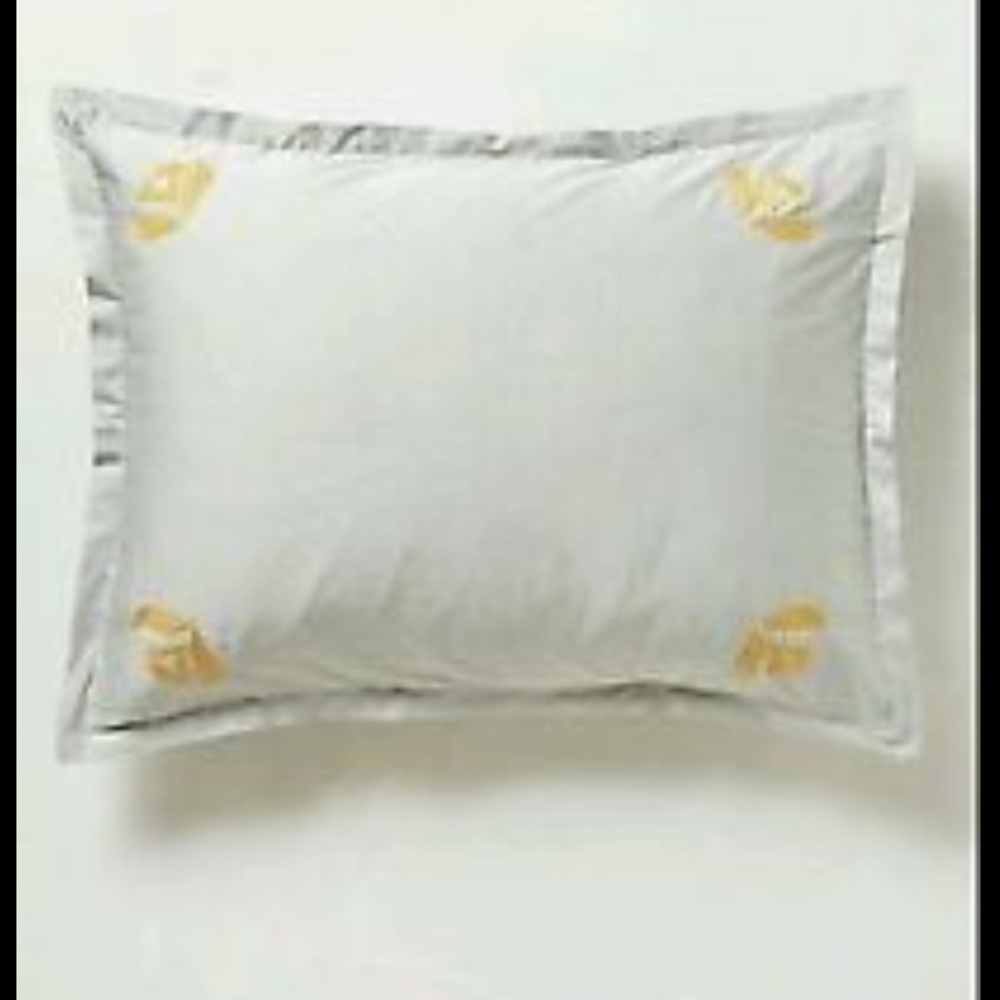 Anthropologie Safia embroidered Standard Shams